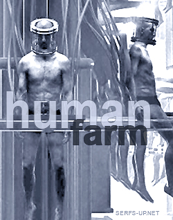 HUMAN FARM