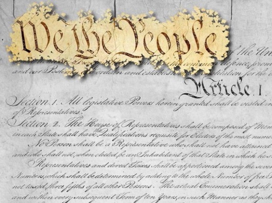 The Constitution | From Sovereign to Serf - SERFS-UP.NET